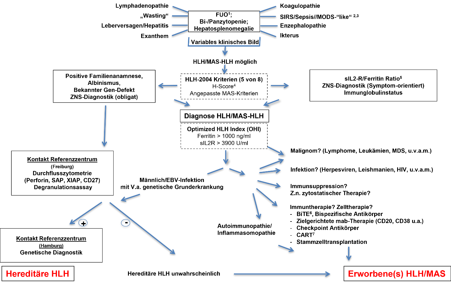 Diagnostik der Hämophagozytischen Lymphohistiozytose (HLH; MAS-HLH)