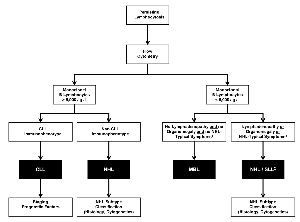 Monoclonal B-Cell Lymphocytosis (Date Of Document February 2012 ...