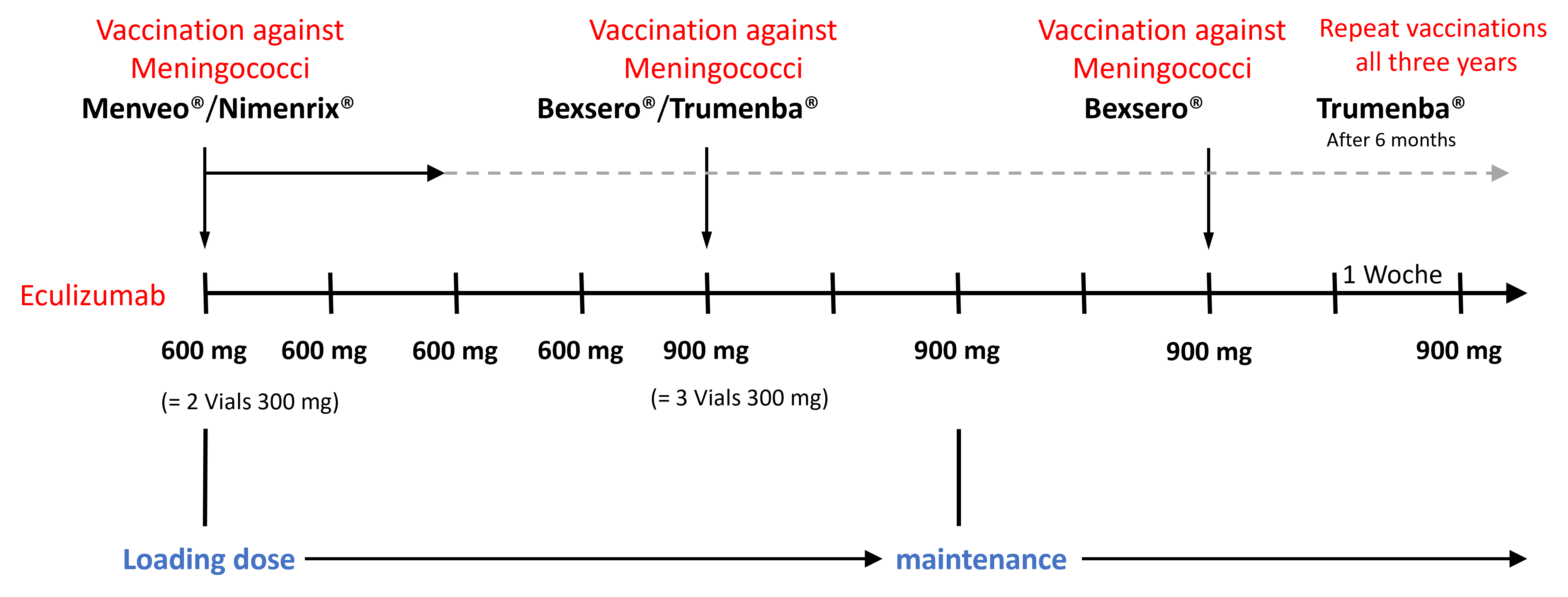 Therapy regimen for the use of eculizumab