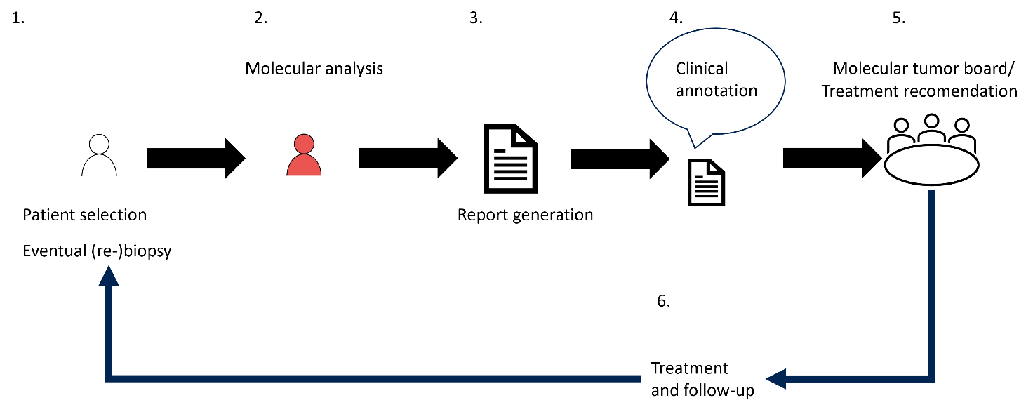 Schematic overview of work steps in precision oncology